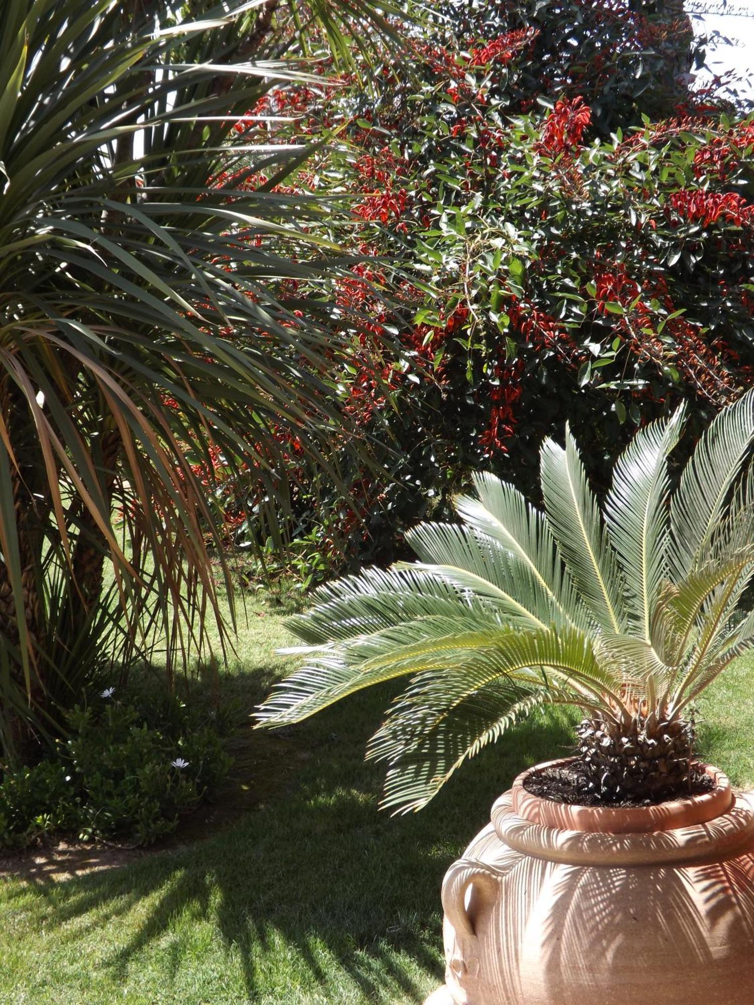 Le Anfore Hotel Villasimius Bagian luar foto